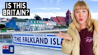 Exploring the Falkland Islands 🇫🇰 Britain’s Most Remote Island Isla Malvinas [upl. by Sisto]