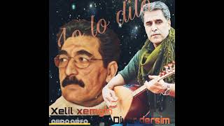 xelil xemgîn û diyar dersim lo lo dilo موال لو دلو [upl. by Lalittah]