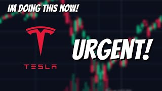 Im Very Concerned Do THIS Tesla Stock Investors [upl. by Sundstrom643]