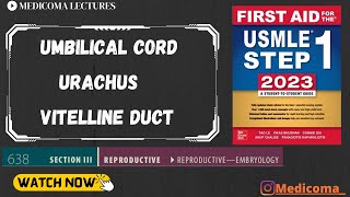 Umbilical Cord  Urachus  Vitelline ducts  Reproductive Embryology  First aid USMLE STEP 1 [upl. by Ash]