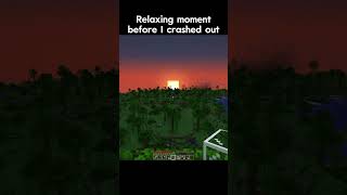 The Minecraft Experience  minecraft minecraftshorts minecraftmemes [upl. by Nuahsad]