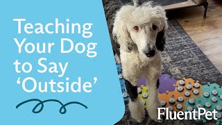 Getting Your Dog Started Using Buttons with Outside [upl. by Liddie]