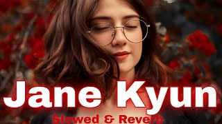 Jaane Kyun  Slowed Reverb  Tanveer Evan  Lofi Song  LSR Bro [upl. by Lady]