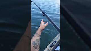 Lake Lanier Topwater Spotted Bass August [upl. by Yreffoeg]