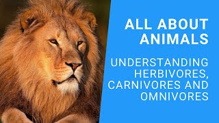 What is the Difference Between Herbivores Carnivores and Omnivores  Twinkl Parents [upl. by Guido162]