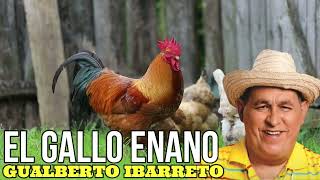 Gualberto Ibarreto  El Gallo Enano [upl. by Derwon961]