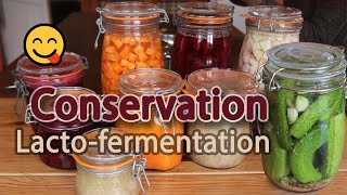 La lactofermentation une méthode de conservation sans danger et peu énergivore [upl. by Harlen]