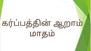 கர்ப்பம் மாதம் 6 Tamil Month 6 Pregnancy Tamil  6 மாத கர்ப்பம் [upl. by Sebastiano]