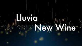 Lluvia  New Wine Letra [upl. by Anirac]