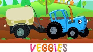 VEGGIES  Blue Tractor  Kids Songs amp Cartoons [upl. by Alinna]