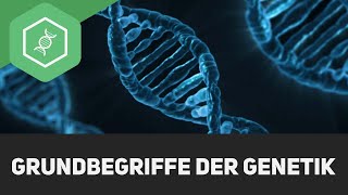 Grundbegriffe der Genetik [upl. by Aratas]