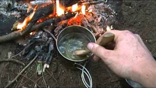 Foraging Edible Plants  Blueberry Leaf Tea  Wild Food [upl. by Alliuqet]