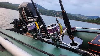 Daiwa Morethan Brazino VS Shimano Exsence Infinity [upl. by Wonacott]