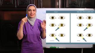 Cranial nerve examination Part 2 [upl. by Brause]