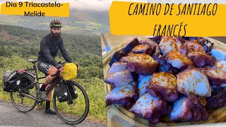 ETAPA 9  CAMINO DE SANTIAGO Francés 2021  GRAVEL  Specialized DIVERGE [upl. by Aible]