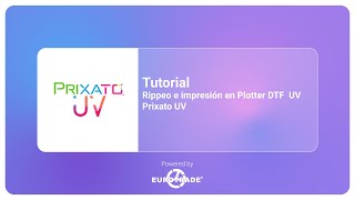 Tutorial  Rippear y enviar a impresión en Plotter para DTF UV Prixato UV [upl. by Ytiak222]