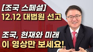 서울구치소가 기다린다 조국에 대한 모든 것 이 영상 하나로 종결합니다ㅣ서정욱TV [upl. by Vierno]