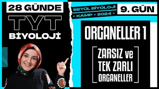 9 Organeller 1  9 Sınıf Biyoloji  2024 TYT Biyoloji Kampı 9 Gün [upl. by Brookner]