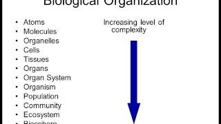 Biology 1010 Lecture 1 Intro to Biology [upl. by Salazar]