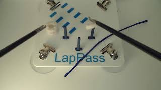 LapPass Task1 [upl. by Aniles]