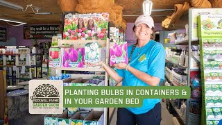 Planting Bulbs in Containers amp in Your Garden Bed  Rockwell Farms Garden Show 13 [upl. by Ahsiemal503]