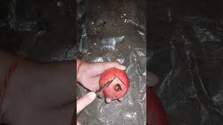 Amazing pomegranate cutting skills [upl. by Cecilla]