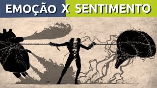 QUAL A DIFERENÇA ENTRE EMOÇÃO E SENTIMENTO  RODRIGO FONSECA [upl. by Nadean]