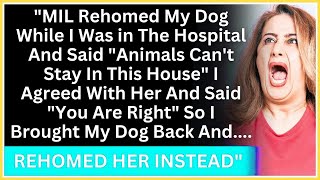 MIL Rehomed My Dog While I Was in The Hospital And Said Animals Cant Stay In This House I Ag [upl. by Yrojram]