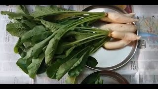 Mullangi Keerai PoriyalMooli Ka SaagRadish Leaf Fry 1080p [upl. by Allissa336]