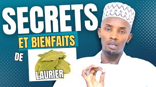 Secrets et bienfaits de Laurier [upl. by Rebm]