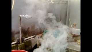 My Homemade Mosquito Fogger  Thermal Fogging Machine buatan sendiri [upl. by Akelam]