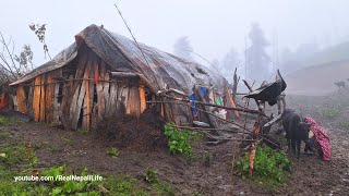 Surviving Life in the Nepali Mountains During the Rainy Season  All Season Compilation Video [upl. by Baker]