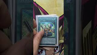 Majestic Synchron Deck ⭐yugioh yugiohtcg yugiohshorts yugiohcards yugiohcommunity konami [upl. by Eceirehs]