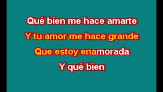 THALIA ESTOY ENAMORADO KARAOKE [upl. by Barbette]