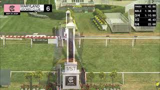 PIMLICO 05 24 2024 RACE 6 [upl. by Euqinna]