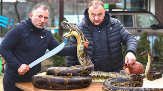 Cocinamos CARNE de SERPIENTE a la parrilla [upl. by Winser]