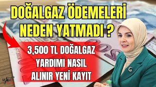 3500 TL ÖDEMELERİ NE ZAMAN YATACAK DOĞALGAZ ÖDEMELERİ NE ZAMAN NASIL ALINIR [upl. by Craig537]