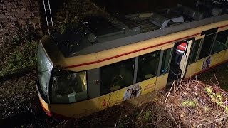 SBahn fährt in umgestürzten Baum bei Walzbachtal am 08022016 [upl. by Penni]