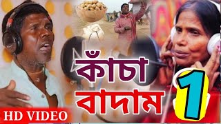 Kacha badam new version songBhuban Badyakar new song [upl. by Macmullin]