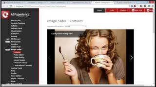 Enhance Your Website Easily with the ASPNET Image Slider [upl. by Atteynot]