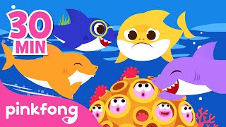 Baby Shark More and More  Best Baby Shark Songs ONLY  Pinkfong Songs for Kids [upl. by Hailee]