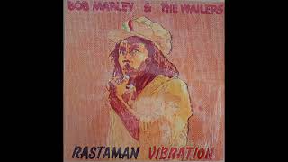 BOB MARLEY and THE WAILERS  Positive Vibration [upl. by Akiaki]