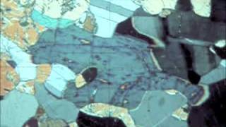 Optical Mineralogy hornblende inclined extinction plagioclase [upl. by Anselmo]