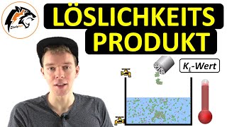 Das Löslichkeitsprodukt Aufgaben  NEU [upl. by Wollis424]