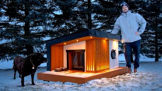 Building a HEATED DOG HOUSE for Canadian Winters [upl. by Leighton869]