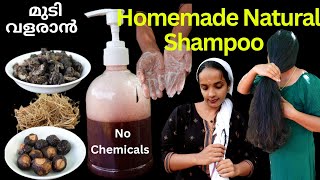 Chemical free Homemade Natural Shampoo❤How to prepare soap nut Natural Shampoo❤Best natural shampoo [upl. by Elaina]