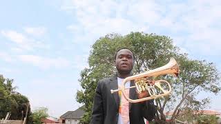 PHAETON FLUGELHORN REVIEW [upl. by Newra278]