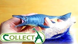 CollectA® Mosasaurus Review May 2014 Exclusive [upl. by Ahsyt885]