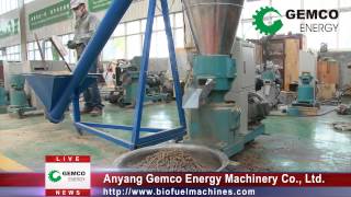 Pellet mill for animal feed pellets manufacturing to be your feeding solutions [upl. by Fairleigh392]