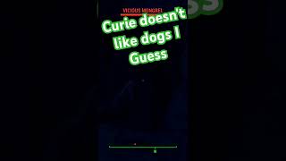 Curie Hates Dogs  Fallout 4 shortsfeed [upl. by Arch]